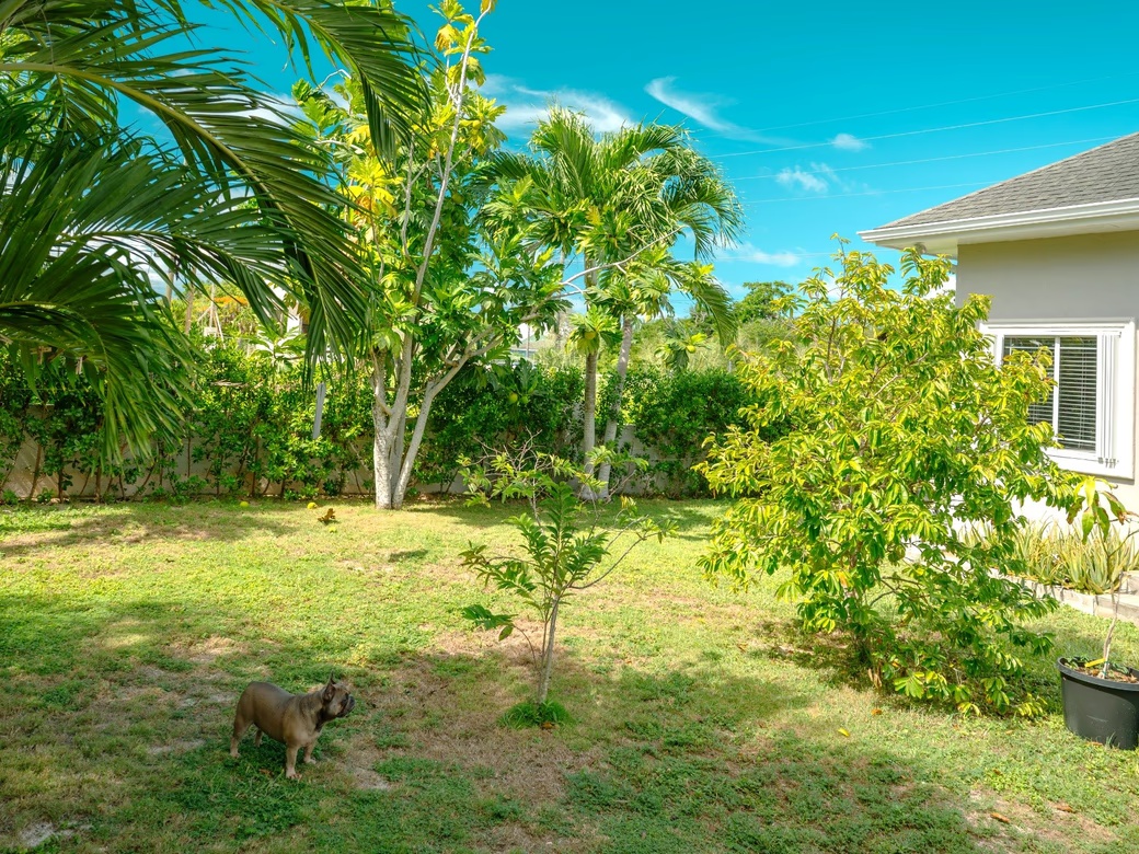 4 Bedroom Beautiful Family Home In Savannah